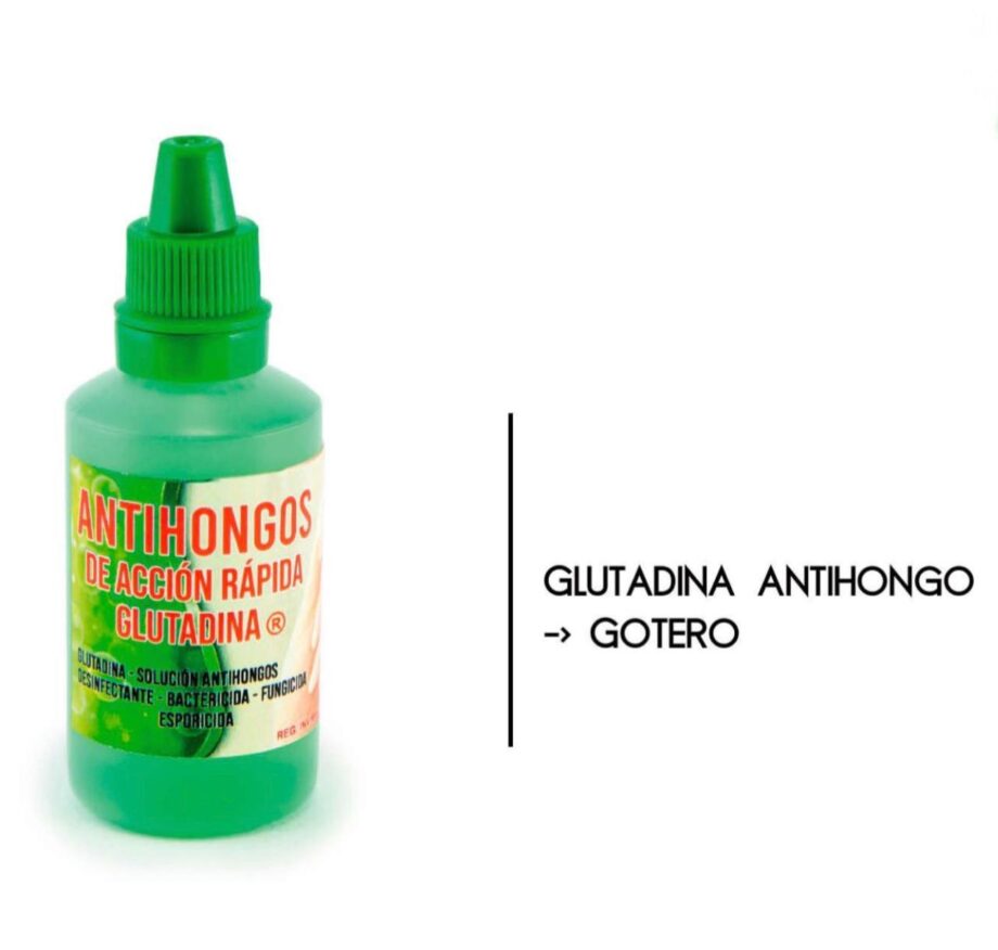 ANTIHONGOS